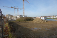 Phoenixsee, Standort PS07 am 23.11.14