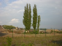 Phoenixsee, Standort PS01 am 03.05.09