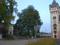 Phoenixsee, Standort PS03 am 19.09.09