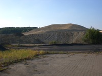 Phoenixsee, Standort PS10 am 11.07.10