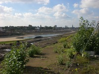 Phoenixsee, Standort PS11 am 01.10.10