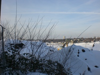 Phoenixsee, Standort PS06 am 04.01.11