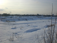 Phoenixsee, Standort PS11 am 04.01.11