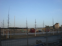 Phoenixsee, Standort PS04 am 10.04.11