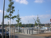 Phoenixsee, Standort PS04 am 26.06.11